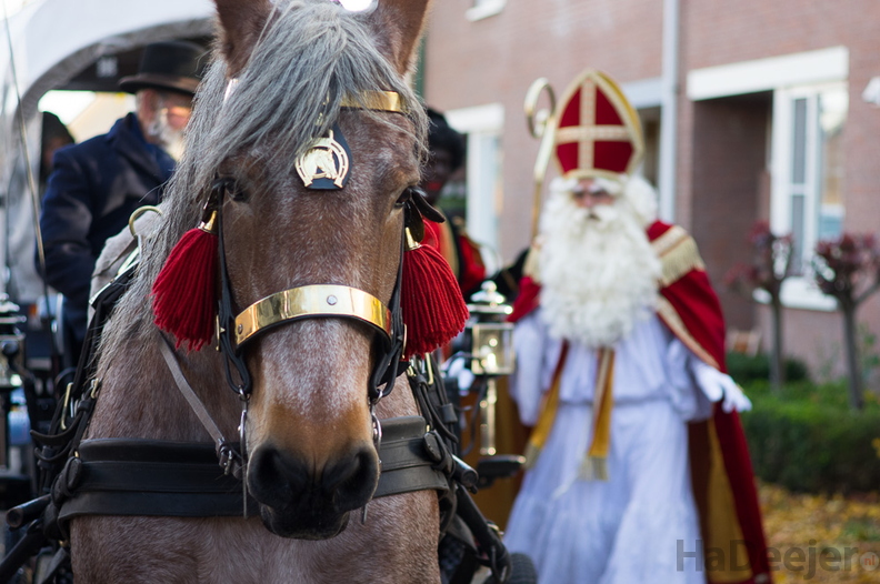 171119-RvH-Intocht-Sinterklaas-08.jpg